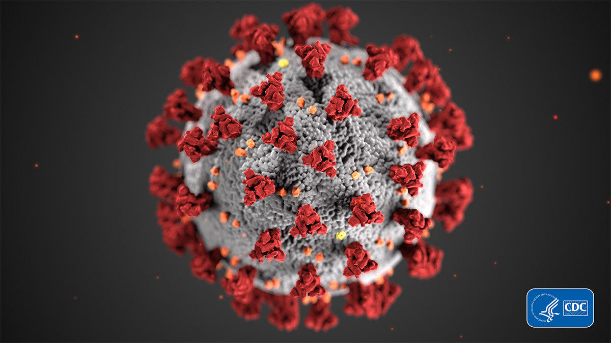 The COVID-19 virus